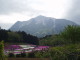 img0030.jpg