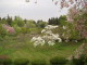 img0031.jpg