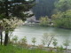 img0039.jpg