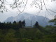 img0040.jpg