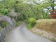img0044.jpg