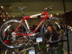 img0033.jpg