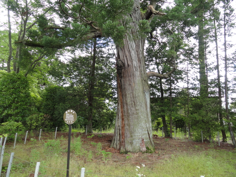 img0009.jpg