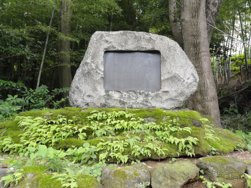 img0010.jpg
