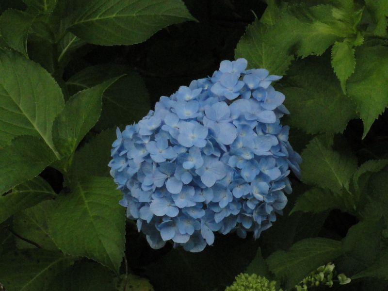 img0038.jpg