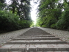 img0003.jpg