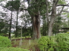 img0008.jpg