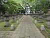 img0025.jpg