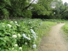 img0034.jpg
