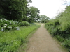 img0037.jpg