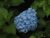 img0038.jpg