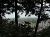img0041.jpg