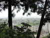 img0042.jpg
