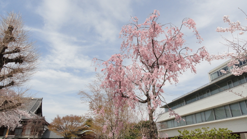 img0010.jpg