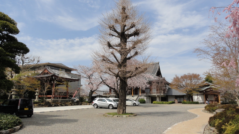 img0011.jpg