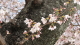 img0007.jpg