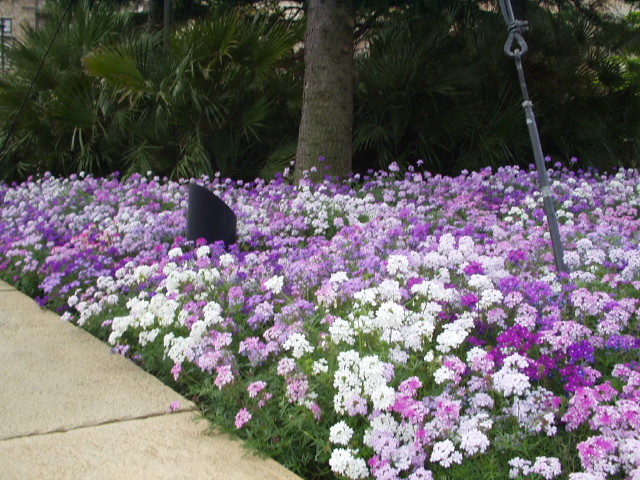 img0055.jpg