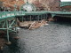 img0014.jpg