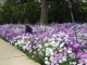 img0055.jpg