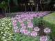 img0057.jpg