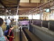 img0058.jpg