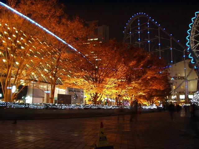img0008.jpg