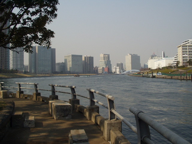 img0009.jpg