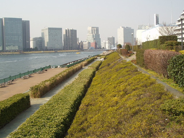 img0011.jpg