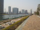 img0010.jpg