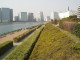 img0011.jpg