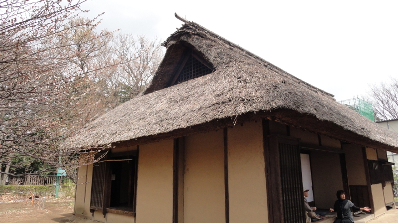 img0013.jpg