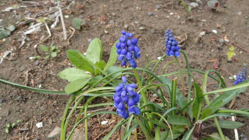 img0028.jpg