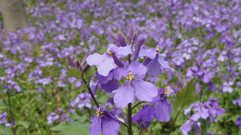 img0047.jpg