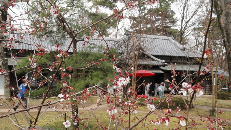 img0051.jpg
