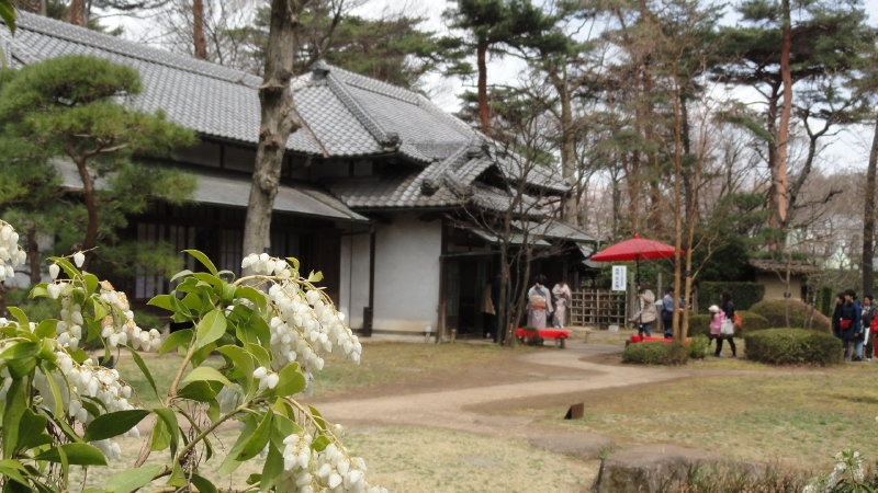 img0053.jpg