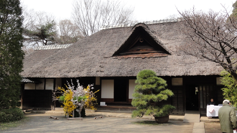 img0063.jpg