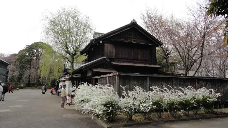 img0090.jpg