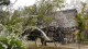 img0008.jpg