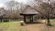 img0020.jpg