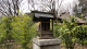 img0021.jpg