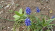img0028.jpg