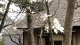img0033.jpg