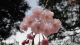 img0041.jpg