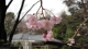img0042.jpg