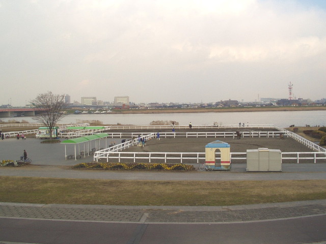 img0002.jpg