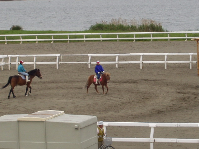 img0018.jpg