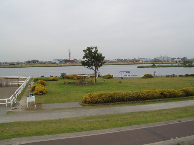 img0019.jpg