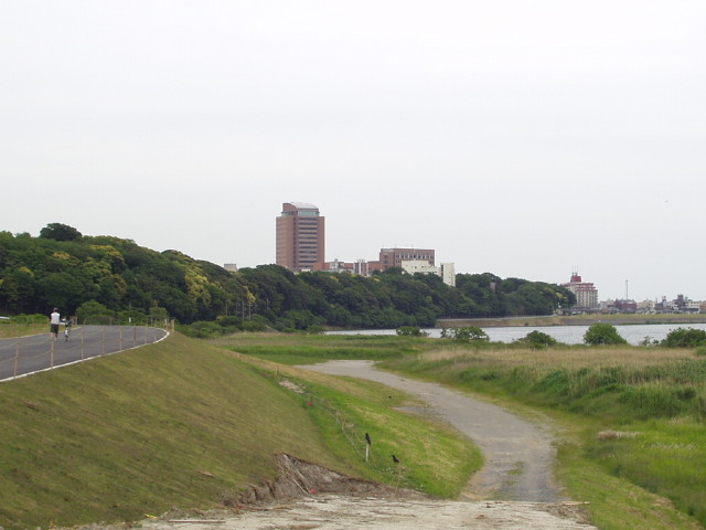 img0020.jpg