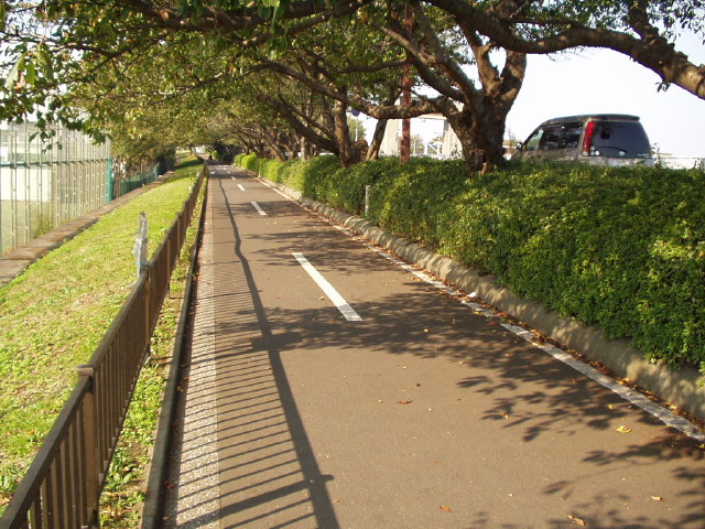img0035.jpg