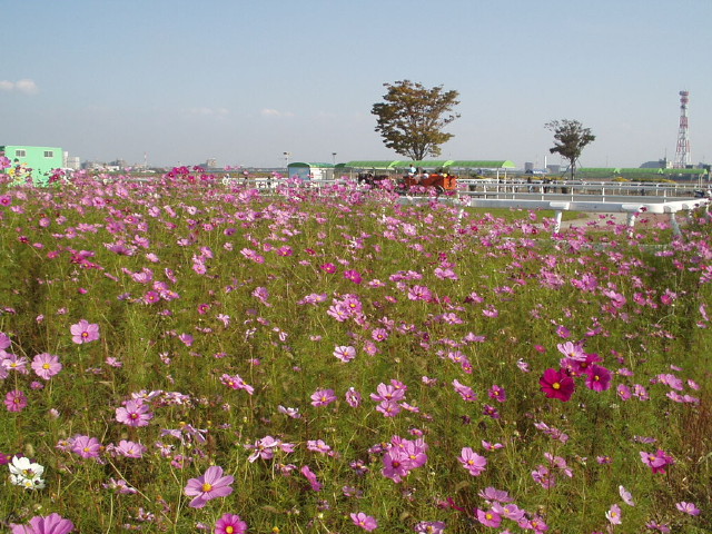 img0037.jpg